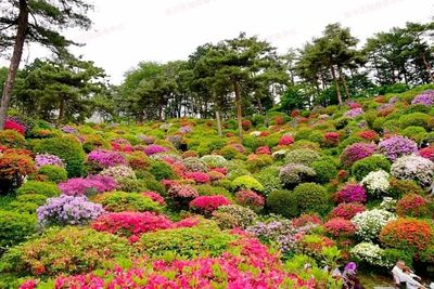 七月南川新景 蔬菜種植新去處，休閑農(nóng)業(yè)新體驗(yàn)